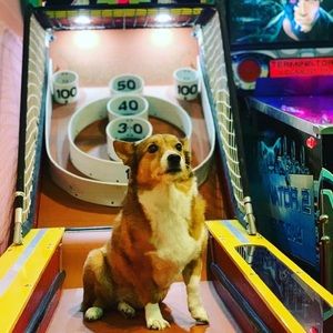 New listings coming soon! Decluttering time!